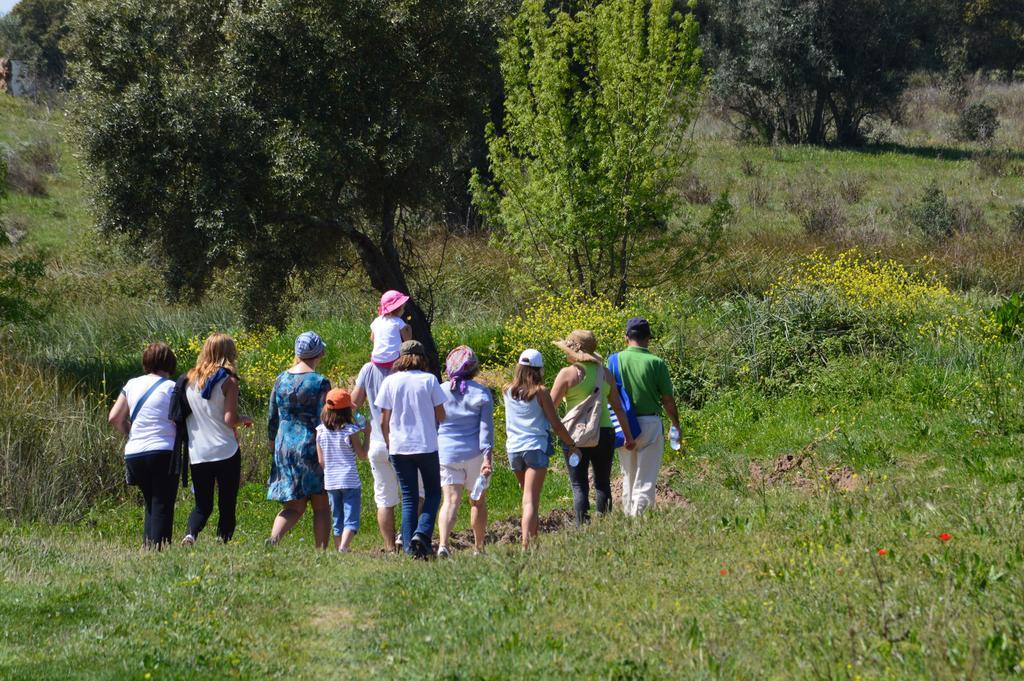 Monte Chalaca - Turismo Rural Ferreira Do Alentejo Dış mekan fotoğraf